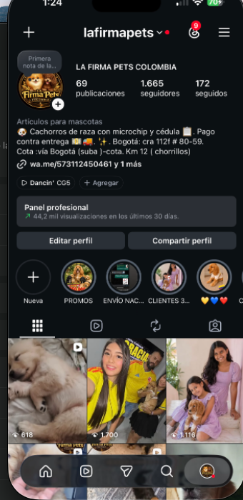 Instagram La Firma Pets